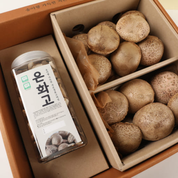도시농사꾼 은화고 B베스트세트 저온성표고버섯 은화고 700g + 건버섯 100g 선물세트