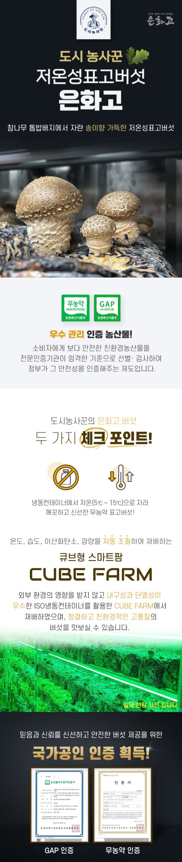도시농사꾼 은화고 B베스트세트 저온성표고버섯 은화고 700g + 건버섯 100g 선물세트